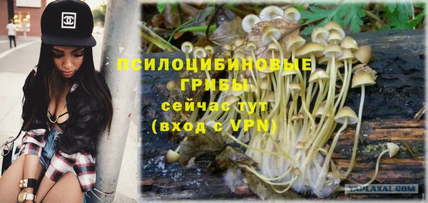 а пвп мука Алзамай