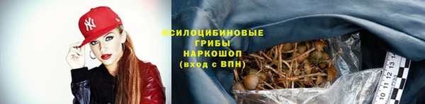 а пвп мука Алзамай