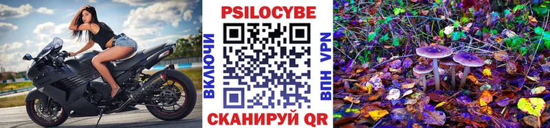 Галлюциногенные грибы Cubensis купить наркоту Арамиль